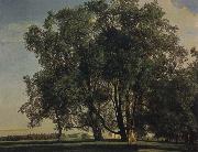Ferdinand Georg Waldmuller Prater Landscape oil on canvas